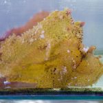 Leaf Scorpionfish - Yellow