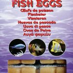 Ocean Nutrition - Marine Fish Eggs