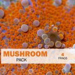 Mushroom Package