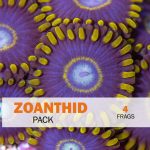 Zoanthid Package